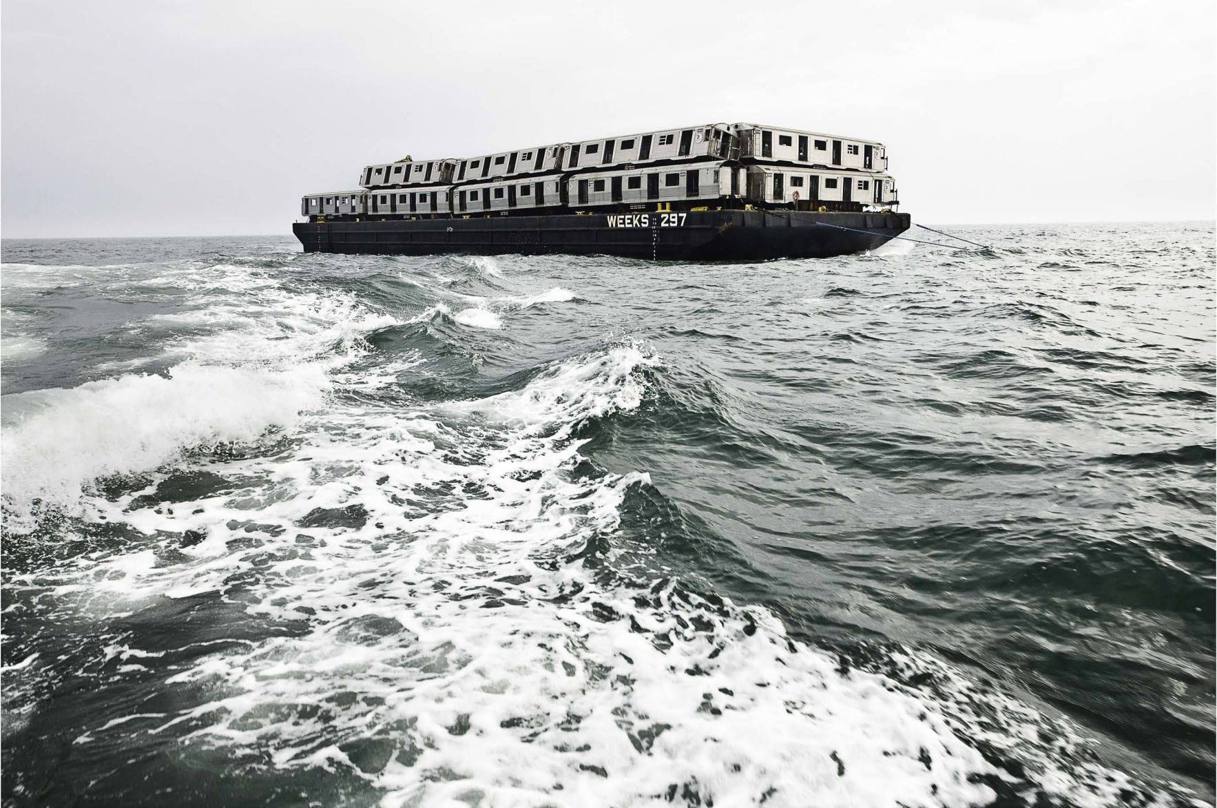 Weeks 297, 2008 - Photo by Stephen Mallon.jpg